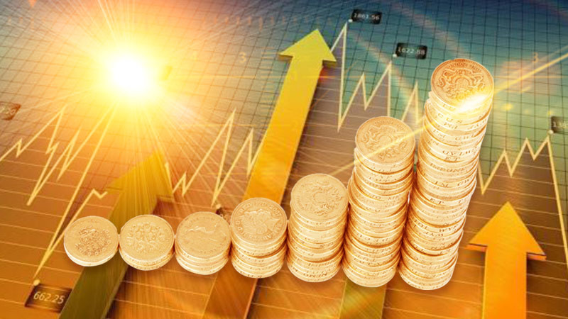 浮动费率型基金明日开卖只支持现金分红什么原因？