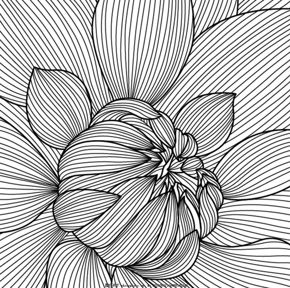 今日截止!航空知识双十一加赠福利今晚19点别错过→